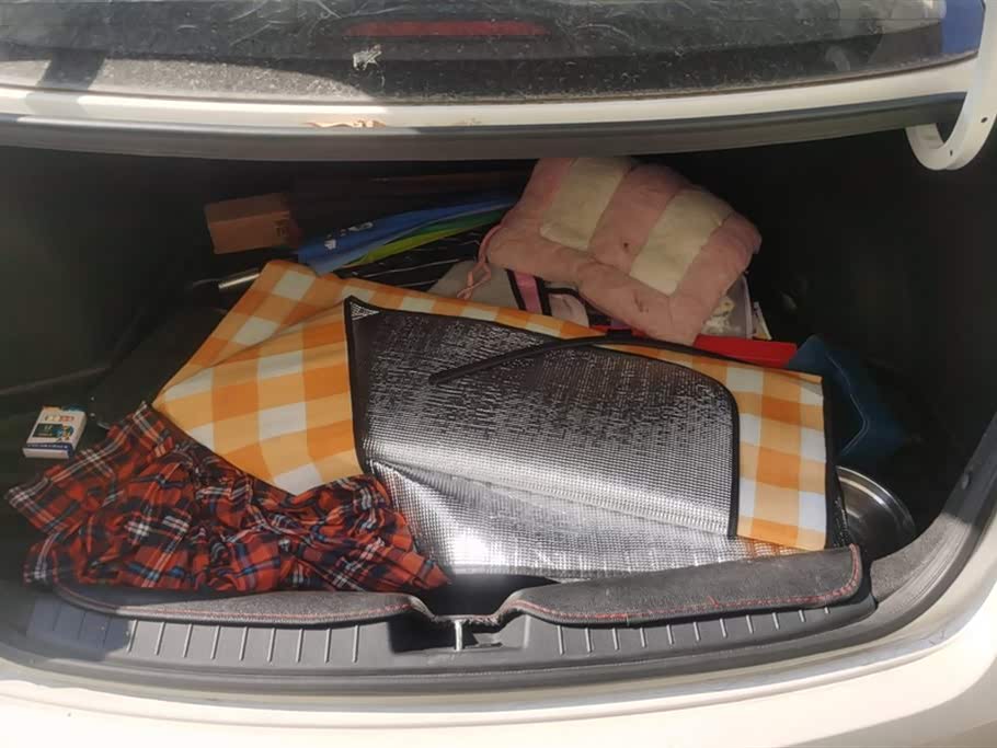 Hyundai Name picture