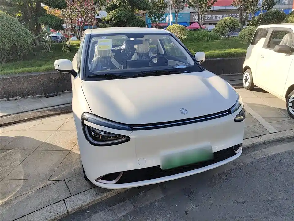 Dongfeng Nammi Nano 01