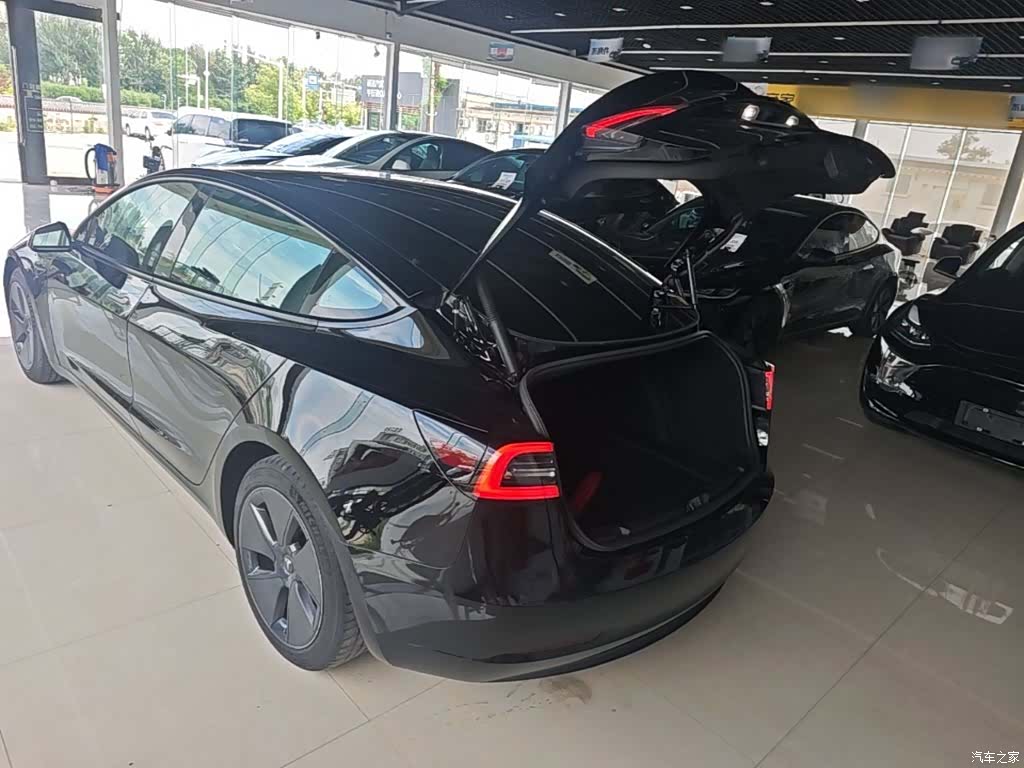 Tesla Model 3, 2021 19