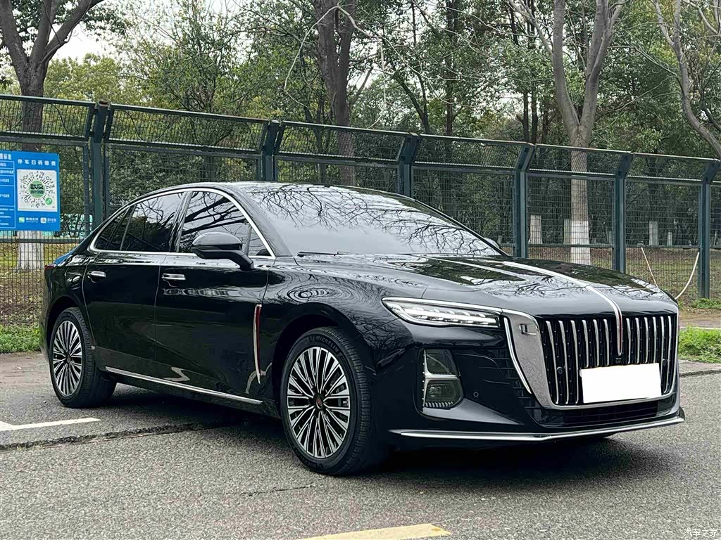 Hongqi H5, 2025 9
