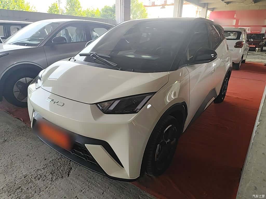 BYD Seagull, 2024 2