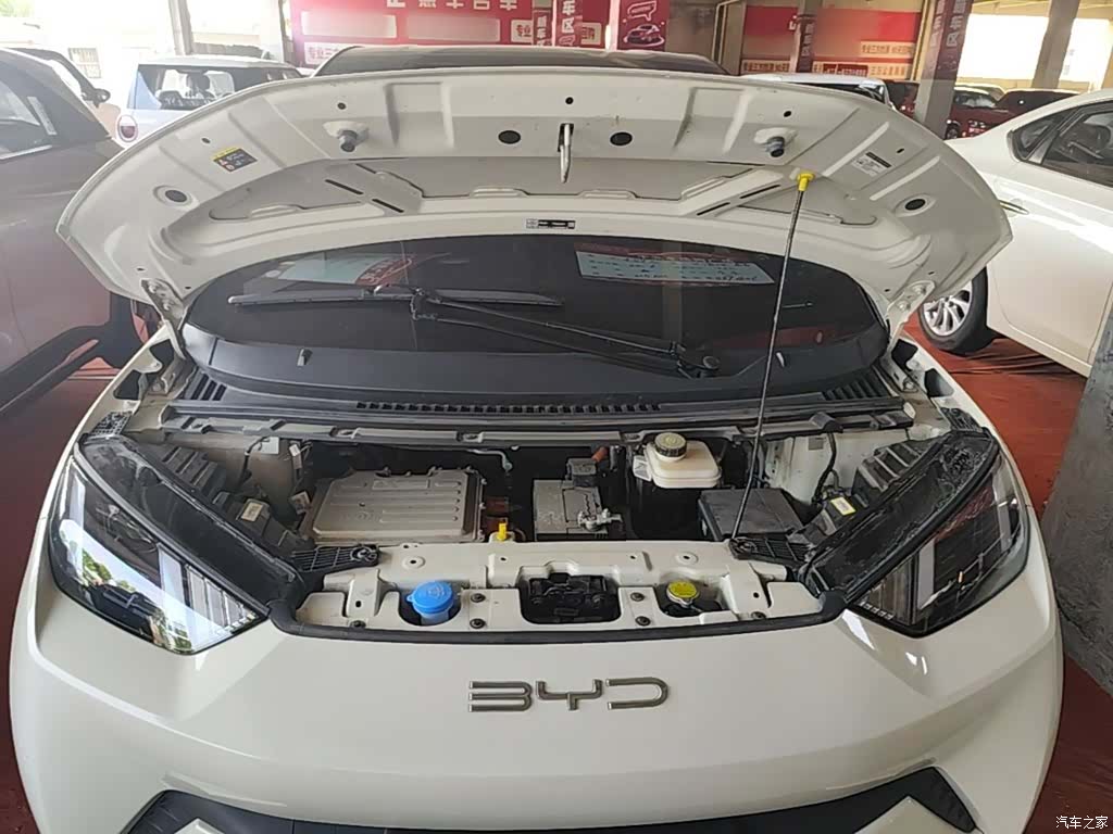 BYD Seagull, 2024 20