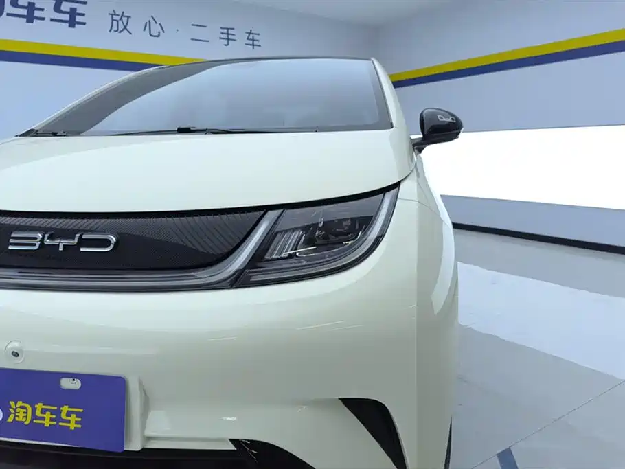 BYD dolphin