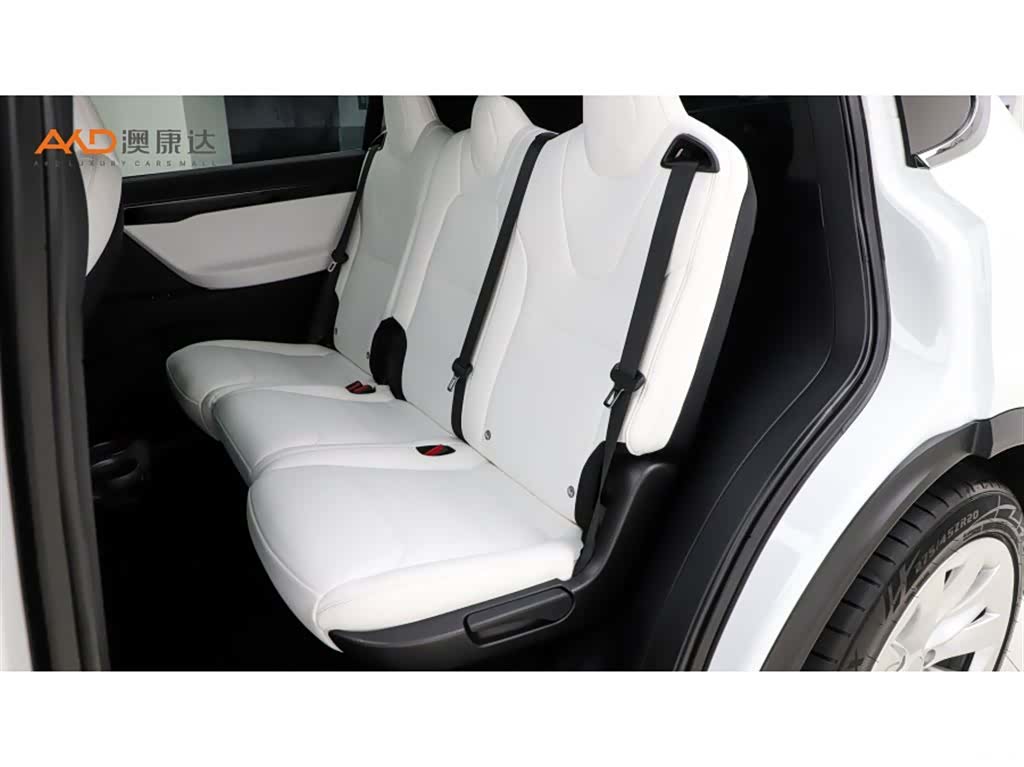Tesla Model X, 2020 7