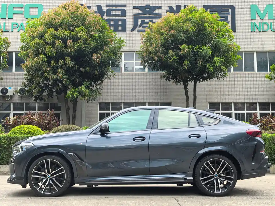 BMW X6