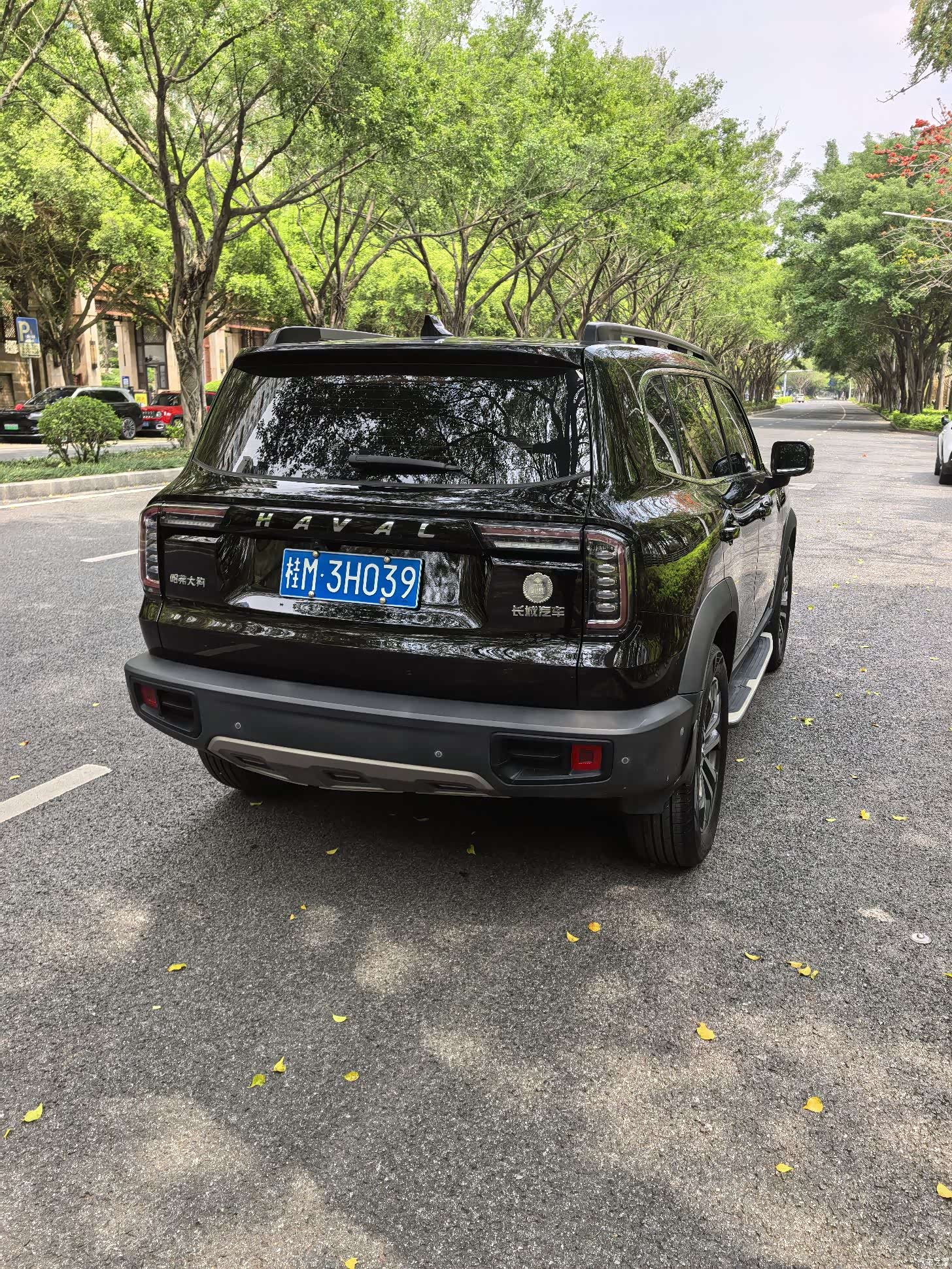 Haval Big Dog, 2021 12