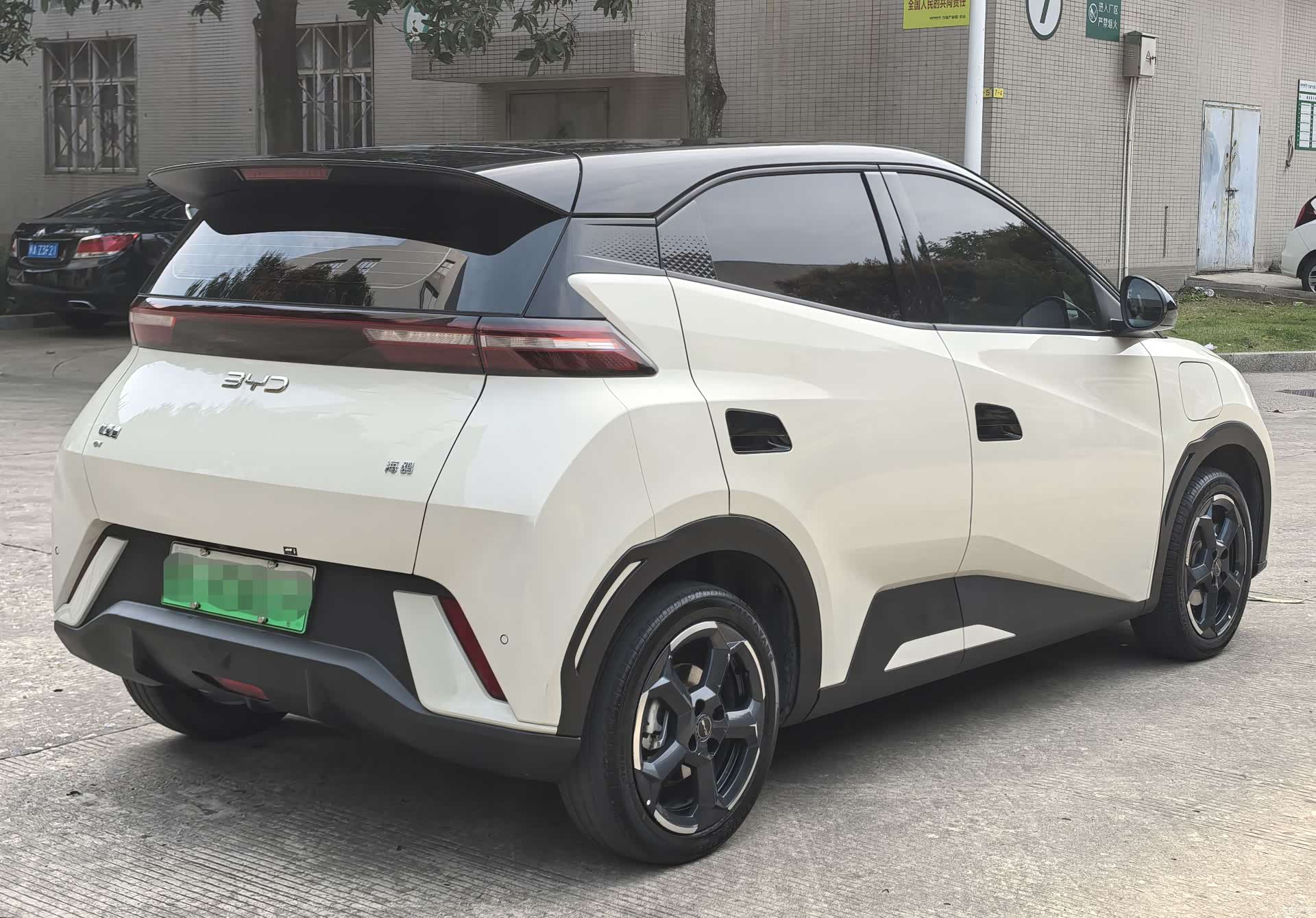 BYD Seagull, 2024 6