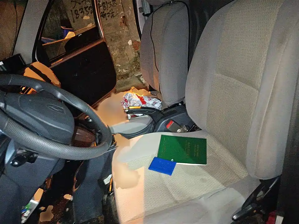 Jinbei Little Sea Lion X30