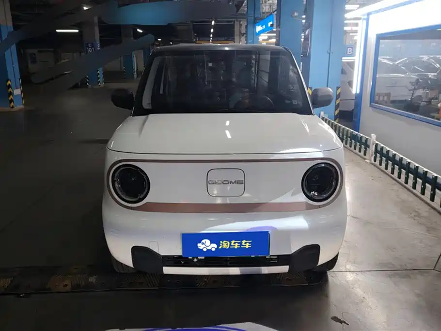 Geely Galaxy panda