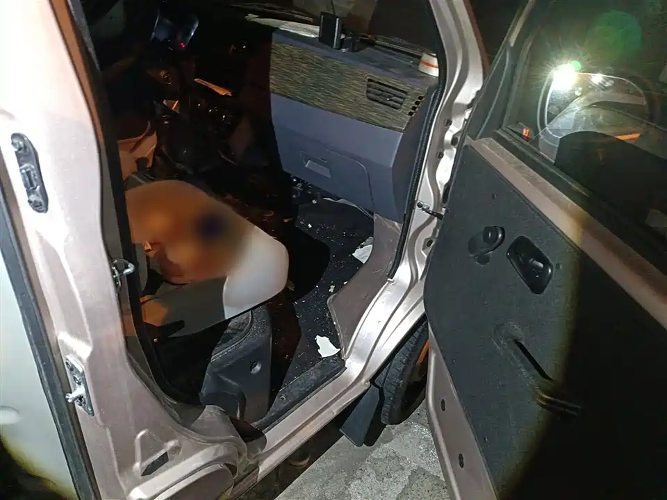 Jinbei Little Sea Lion X30