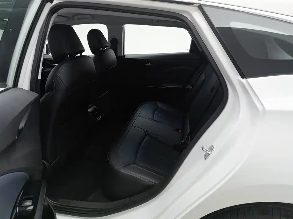 Buick Slightly blue 6