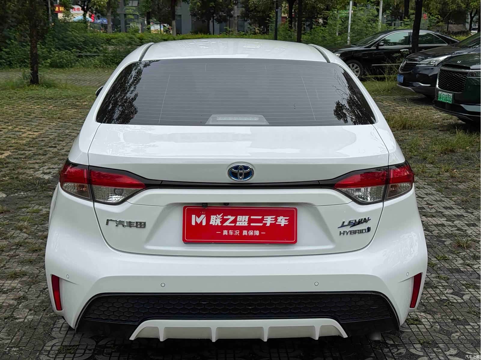 Toyota Levin, 2022 все фото