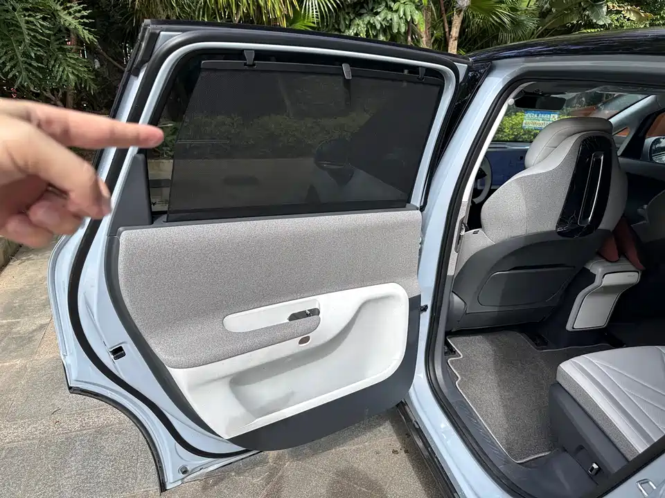 ARCFOX Polar fox koala