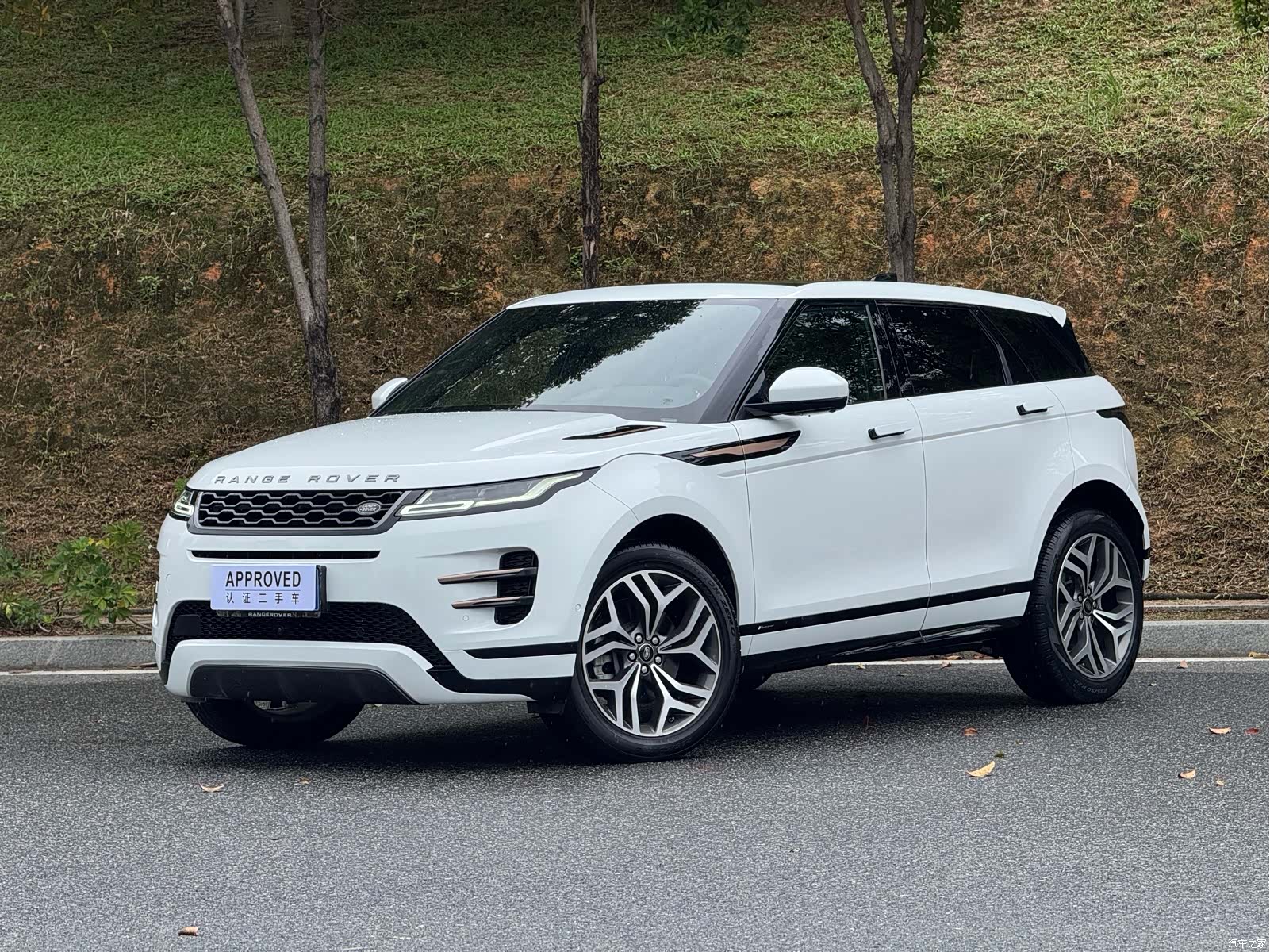 Land Rover Range Rover, 2020 1