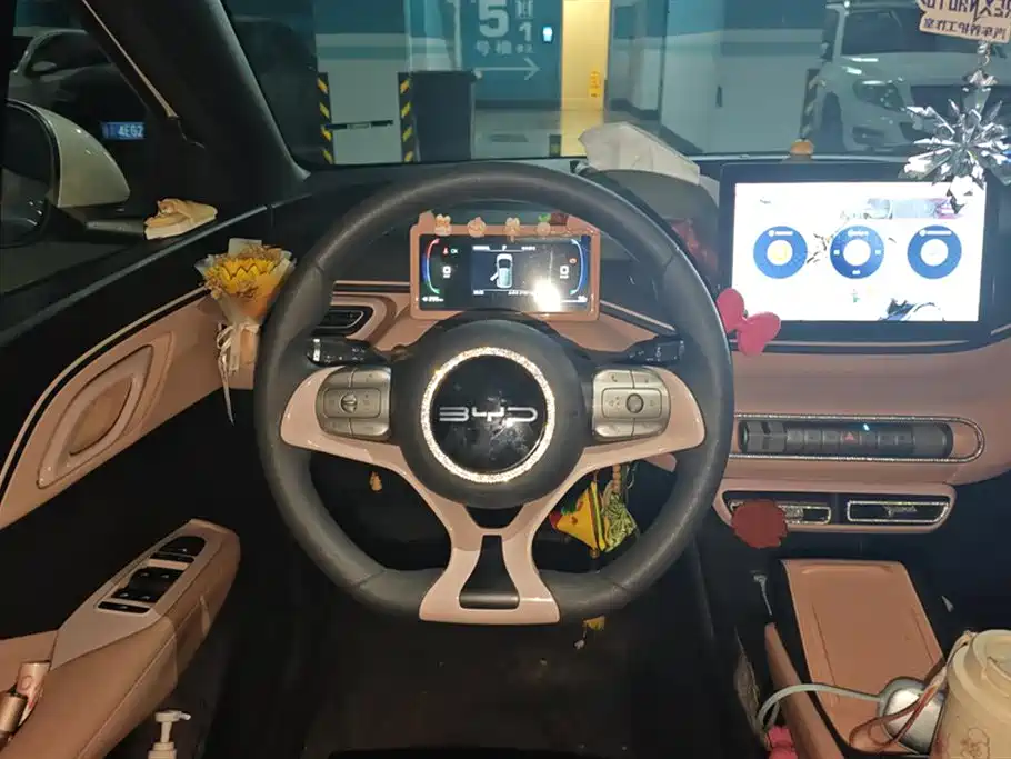 BYD Seagull
