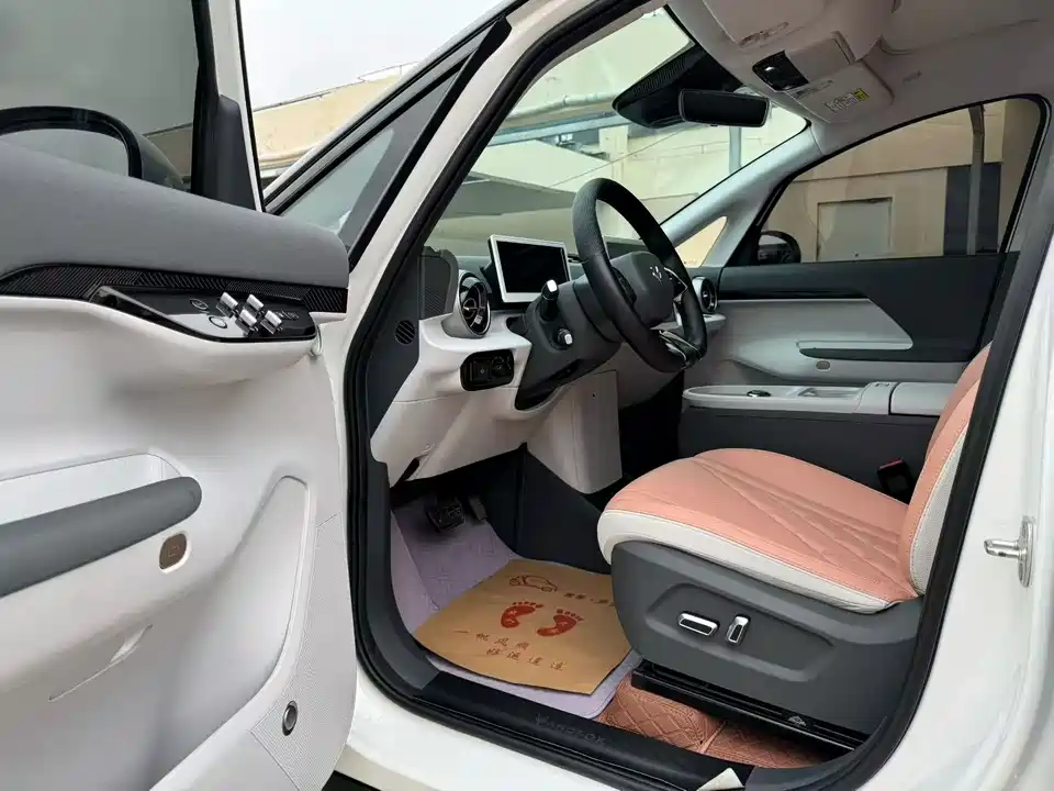 ARCFOX Polar fox koala