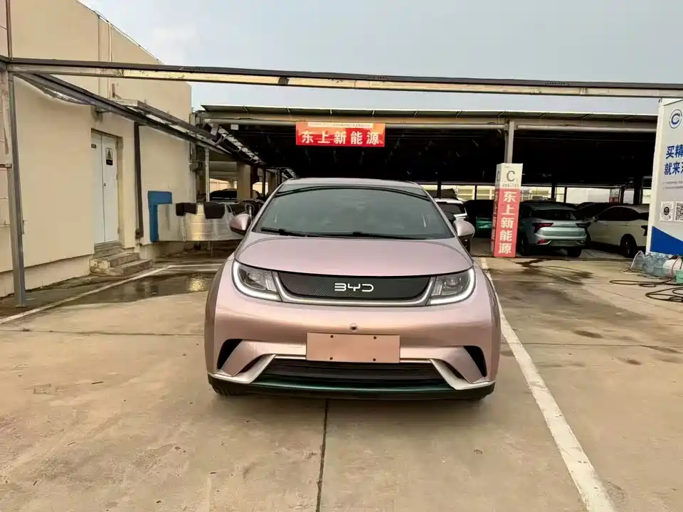 BYD dolphin