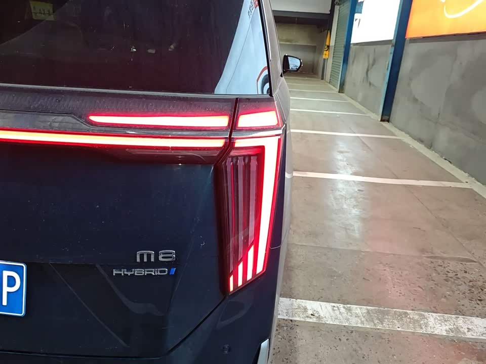 Trumpchi Trumpchi M8