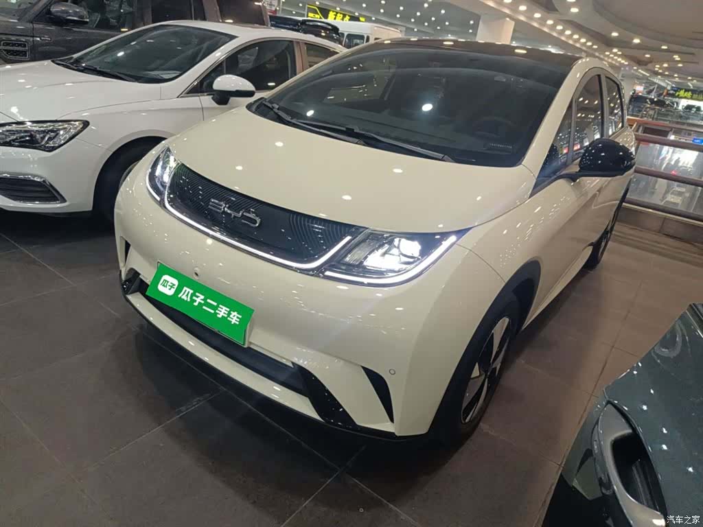 BYD Dolphin, 2023 1