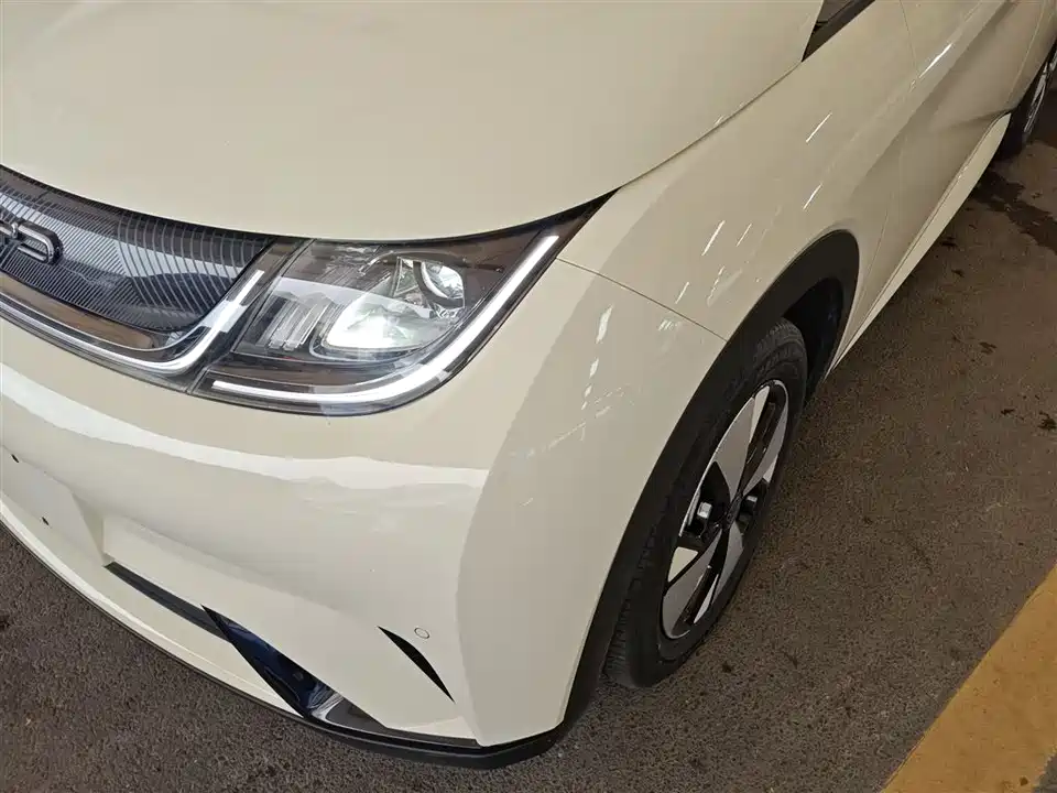 BYD dolphin