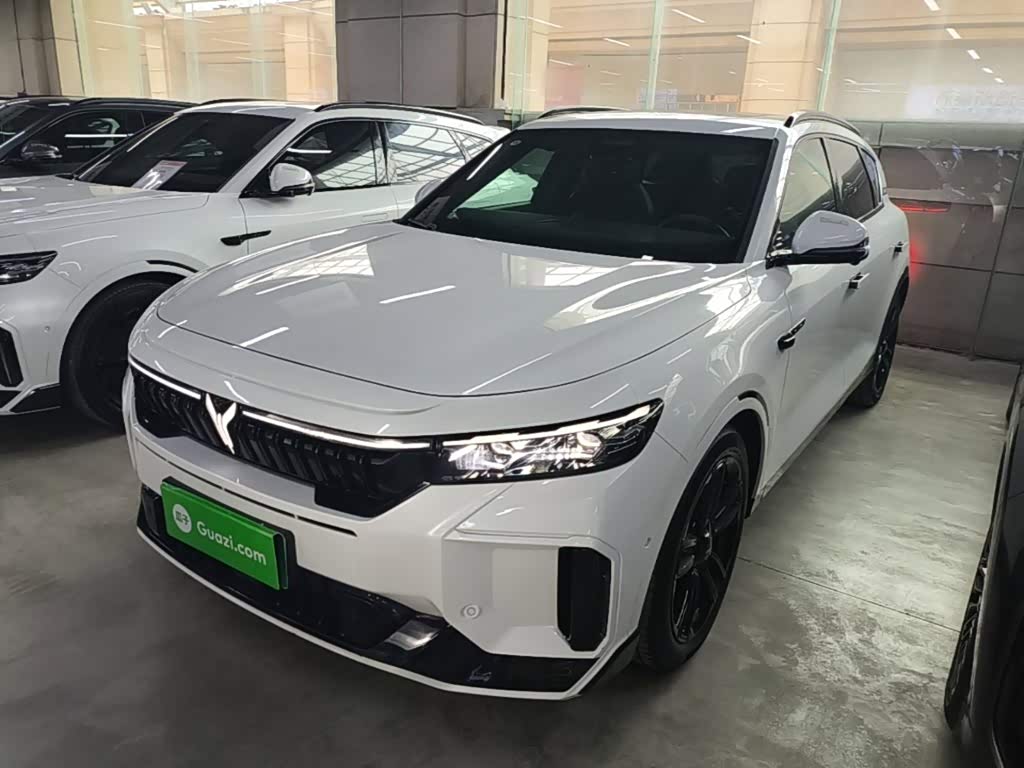 Voyah Free 2025 318 259km