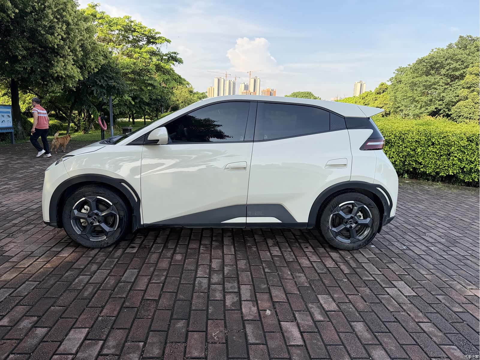 BYD Seagull, 2023 4