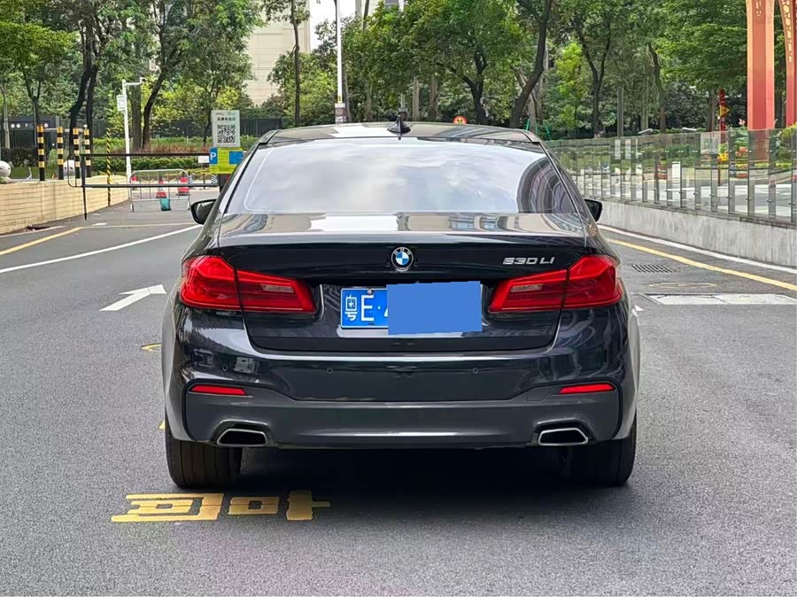 BMW 5 Series 2020, фото 4
