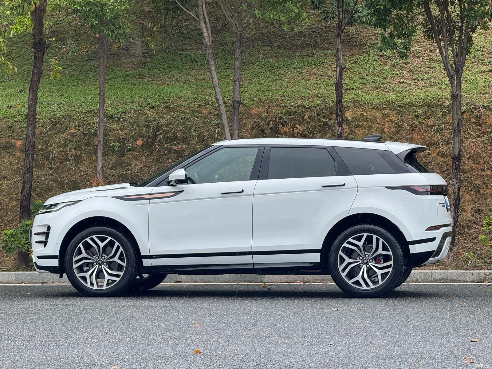 Land Rover Range Rover, 2020 6