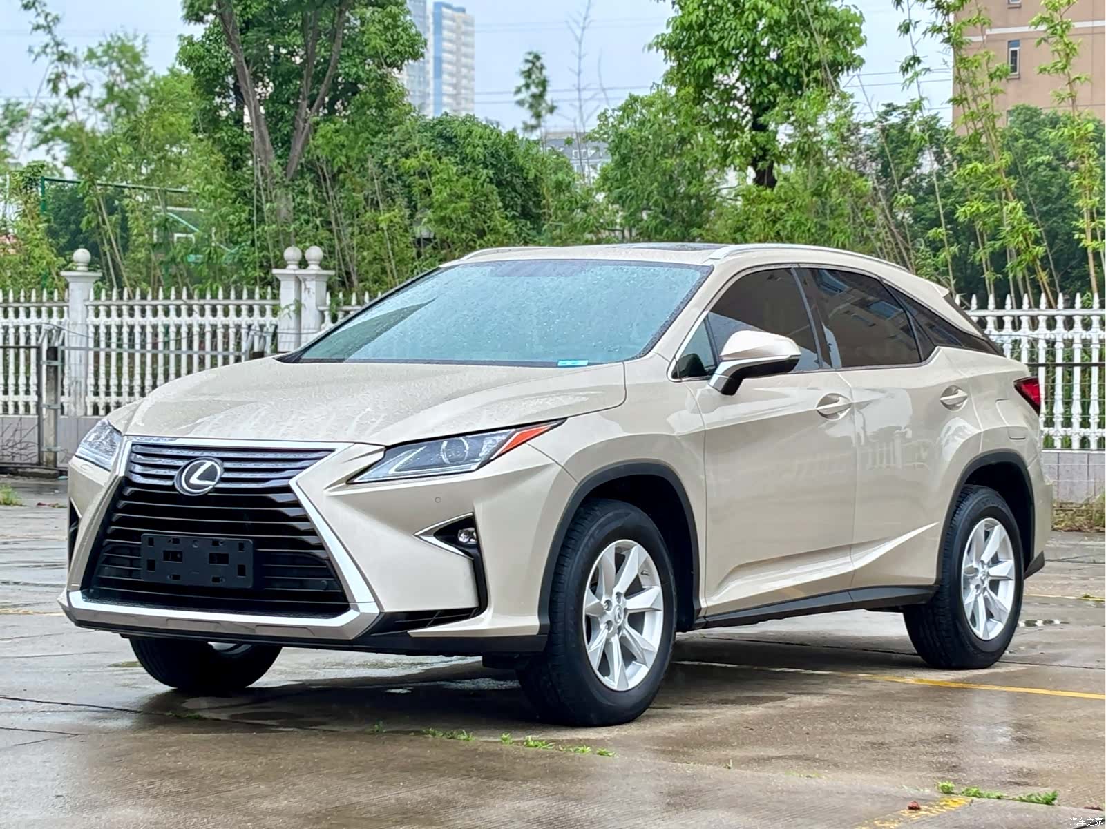 Lexus RX, 2017 2