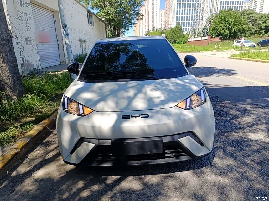 BYD Seagull, 2024 3