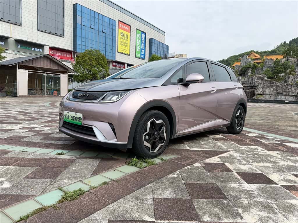 BYD Dolphin, 2022 1