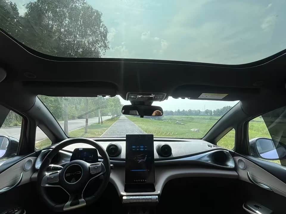 BYD dolphin