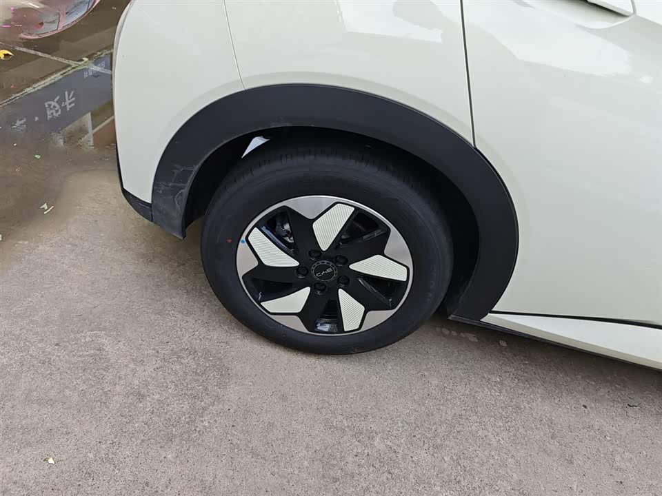 BYD dolphin