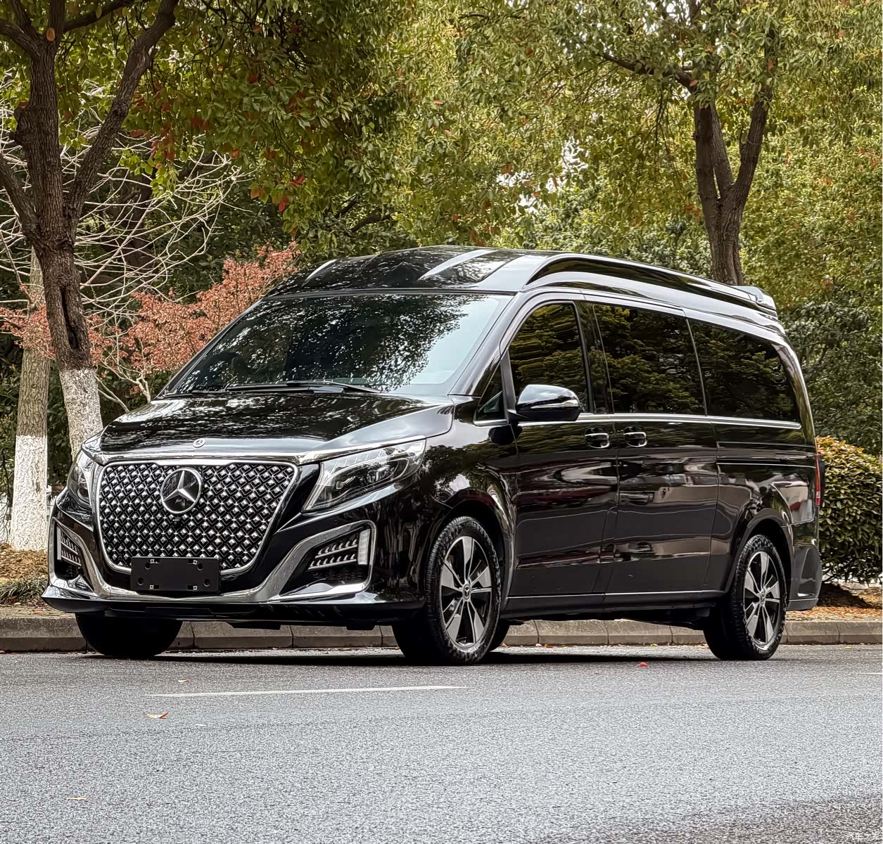 Mercedes-Benz V-Class
