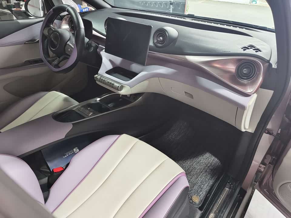 BYD dolphin