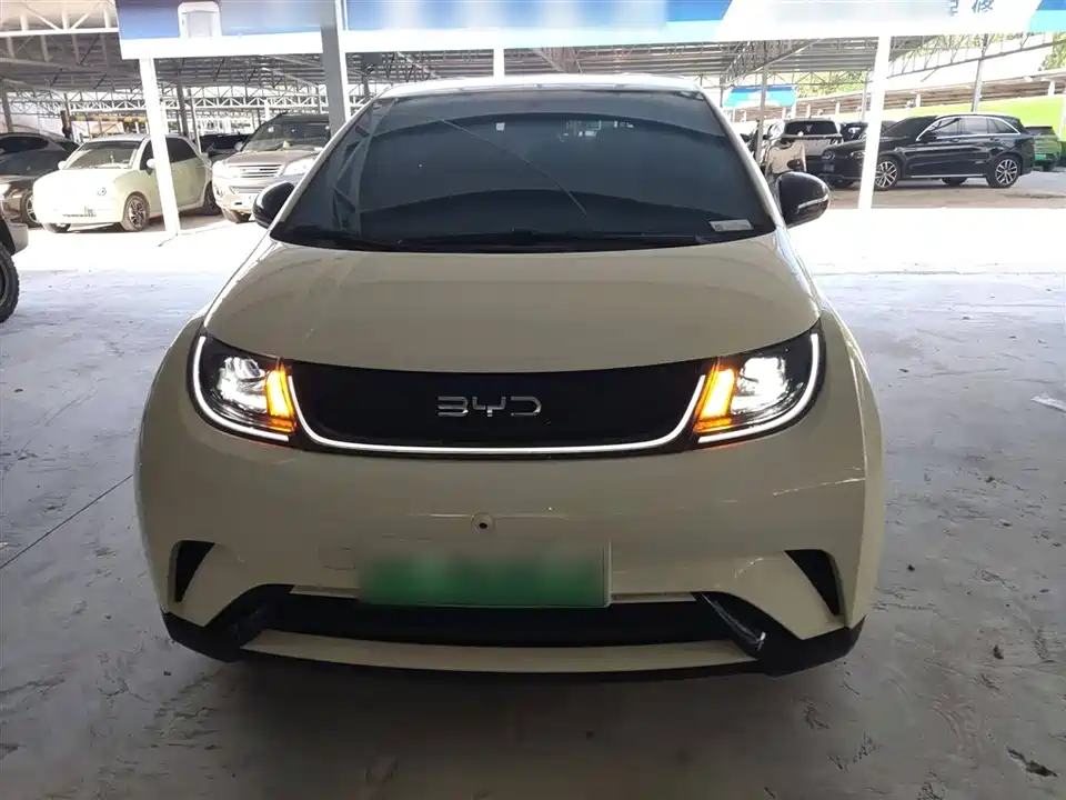 BYD dolphin