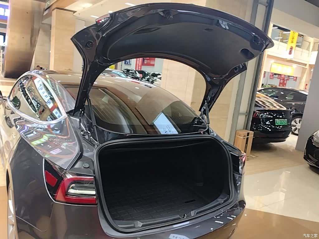 Tesla Model 3, 2020 19
