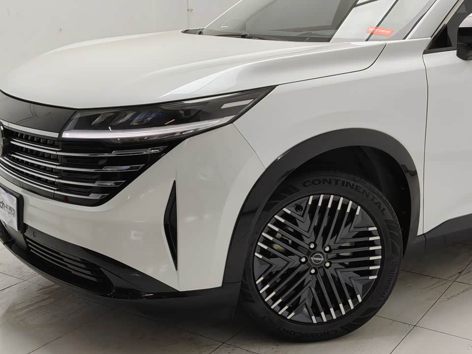 Nissan Exploring the land