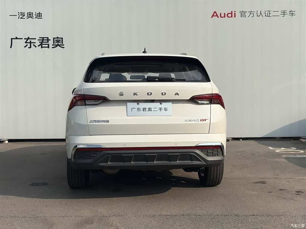Skoda Kamiq, 2020 все фото