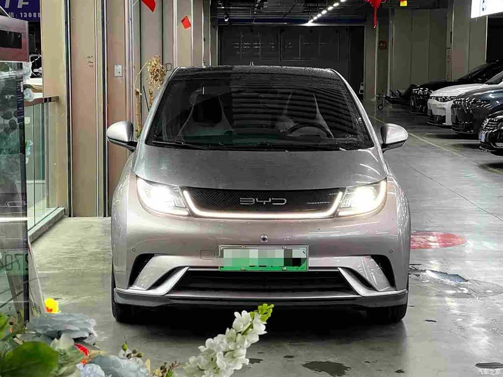 BYD Dolphin, 2024 2