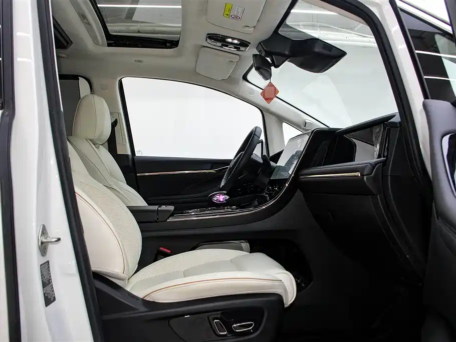 Trumpchi Trumpchi E9