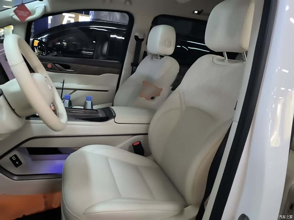 WEY Gaoshan, 2025 15