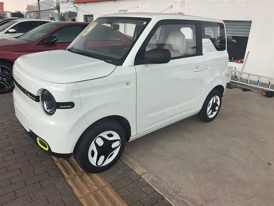 Geely Galaxy panda
