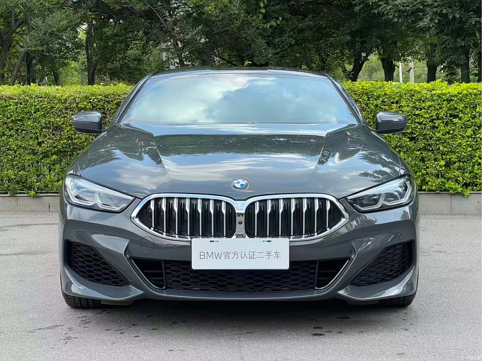 BMW 8 Series, 2021 все фото