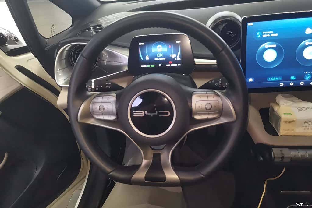 BYD Dolphin, 2023 15