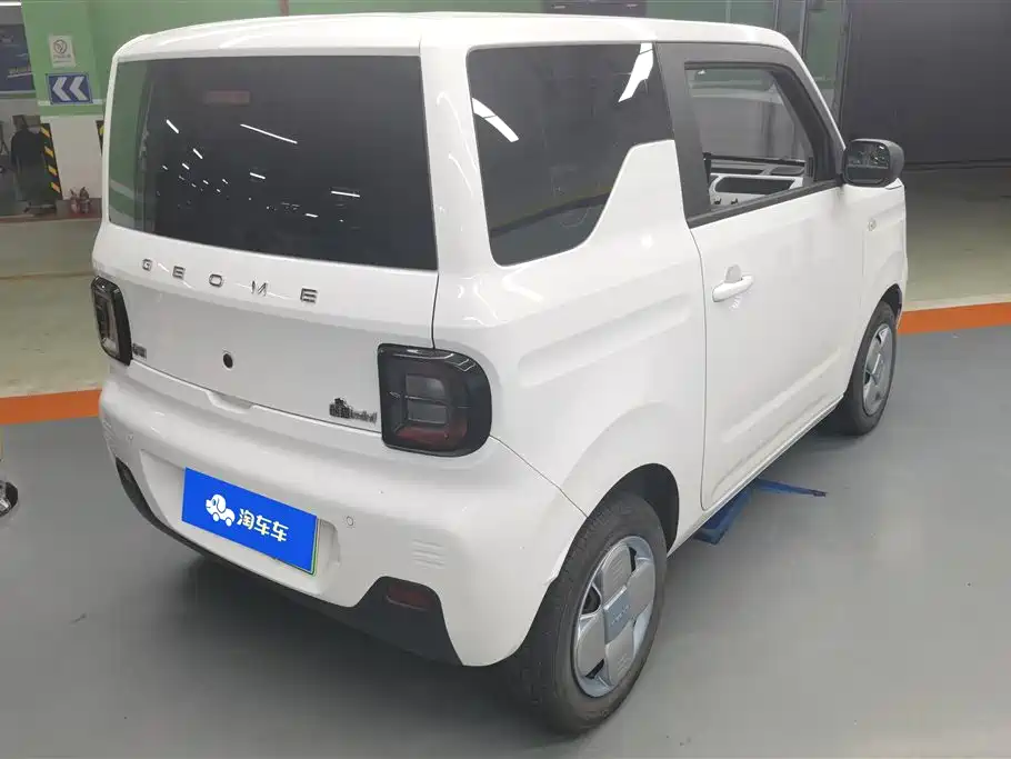 Geely Galaxy panda