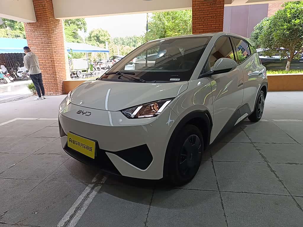 BYD Seagull