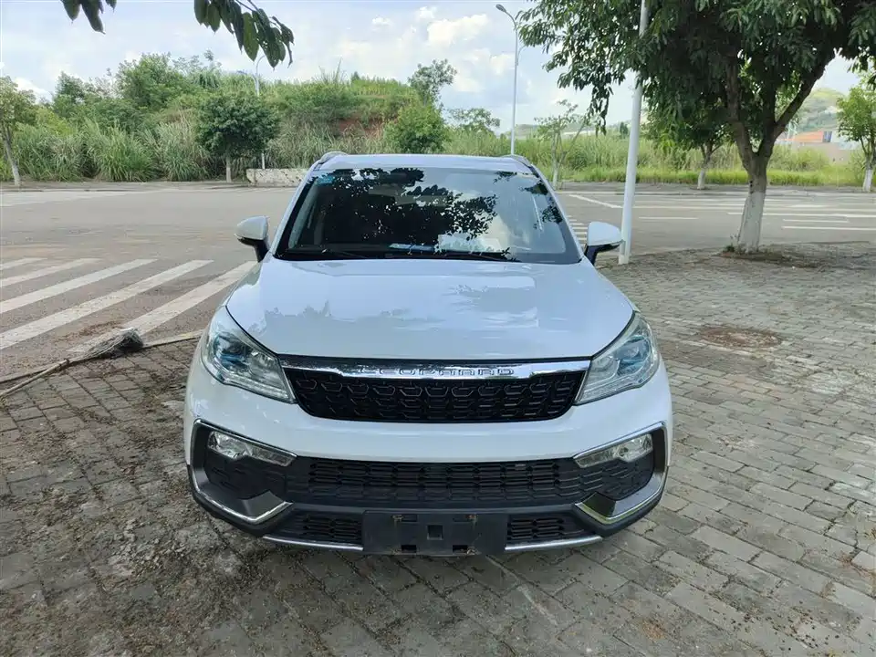 Leopaard Cheetah CS9