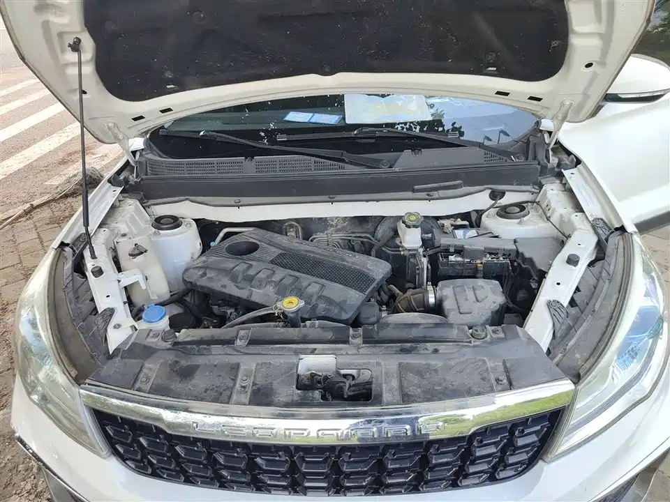 Leopaard Cheetah CS9