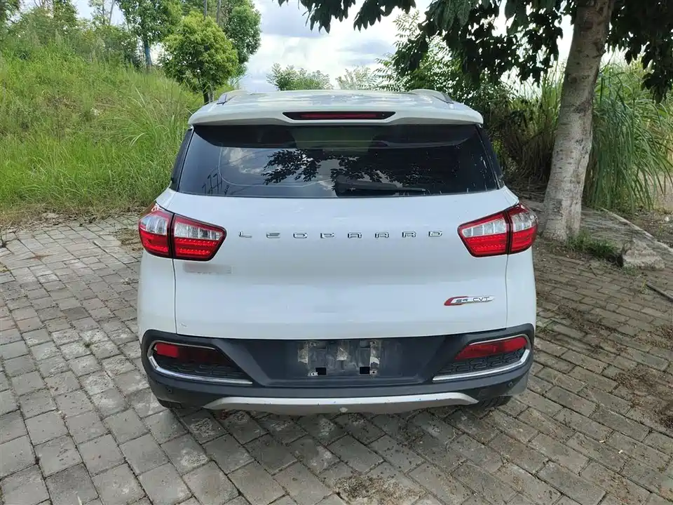 Leopaard Cheetah CS9